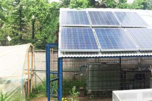 paneles solares con almacenamiento baterías